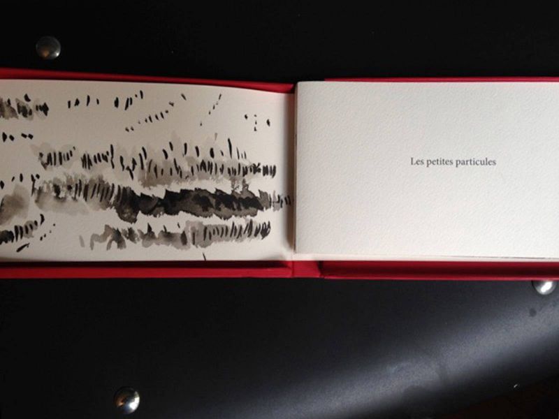 Danielle Loisel - Livre d'artiste - Editions Signum - Les petites particules